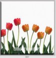 /album/photo-gallery-canvas-uri/decoratiuni-de-perete-canvas-lc-0847-jpg/